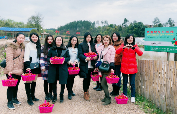 2018年三八国际妇女节女员工摘草莓活动
