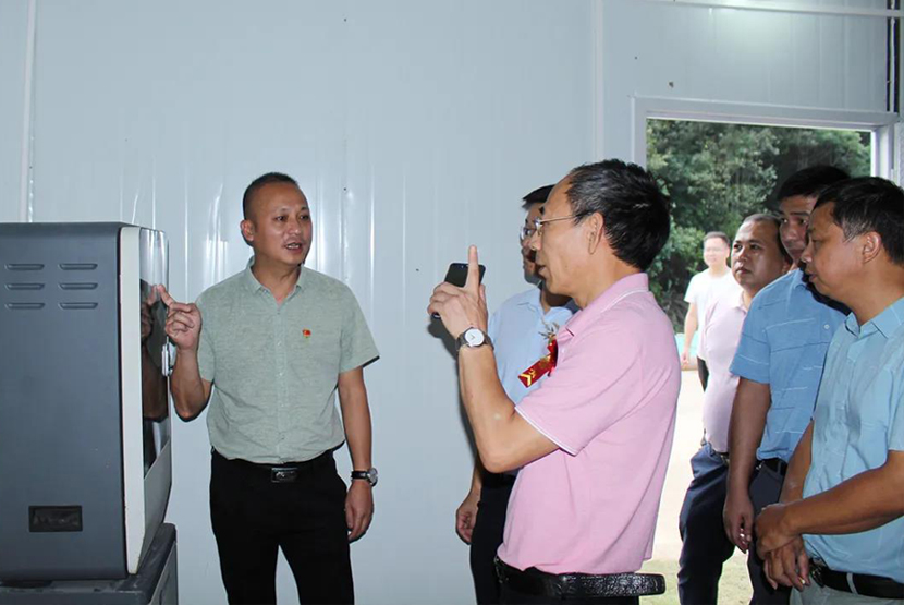 1599028007883036.jpg 1597980129949894.jpg