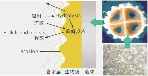 载体流化床（MBBR）技术